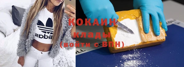 тгк Богородицк