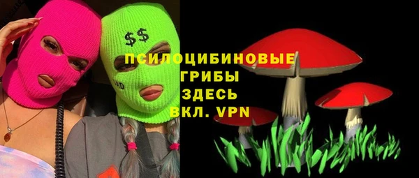 mdpv Богданович