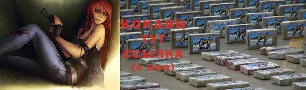 mdpv Богданович