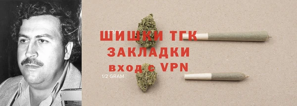 тгк Богородицк