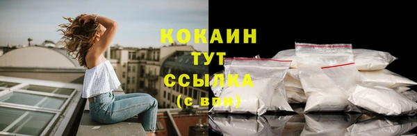 mdpv Богданович