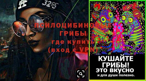mdpv Богданович