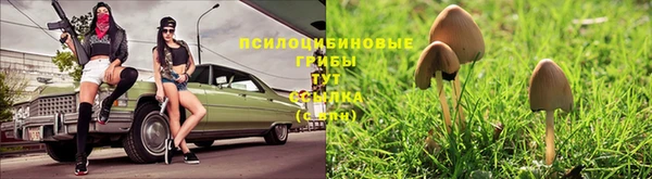mdpv Богданович