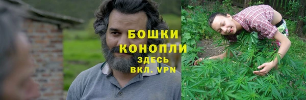 mdpv Богданович