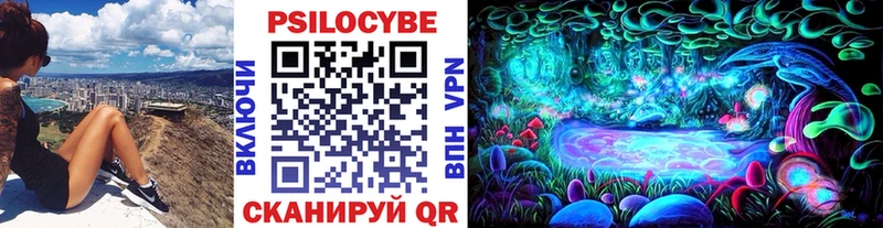 купить  цена  Сызрань  Псилоцибиновые грибы мухоморы 